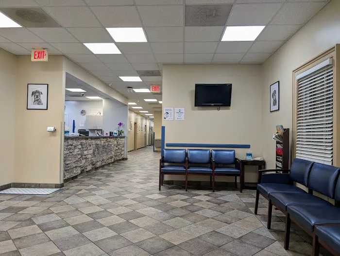 MedVet Northern Virginia Picture 4