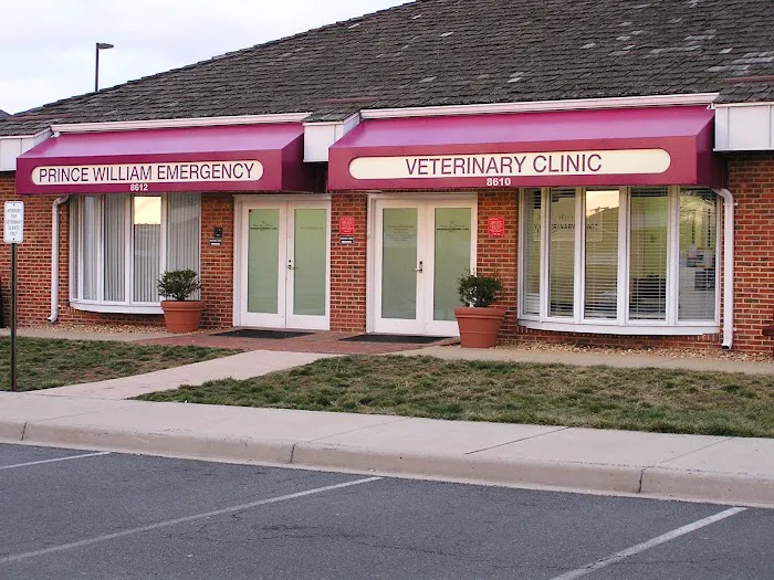 MedVet Northern Virginia Picture 3