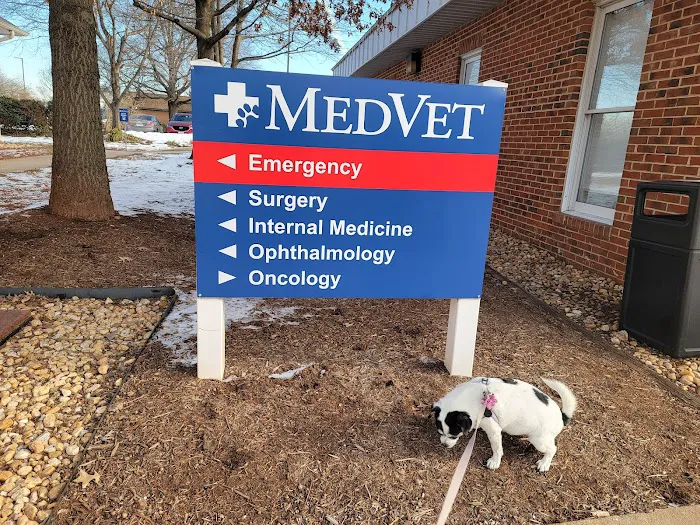 MedVet Northern Virginia Picture 6