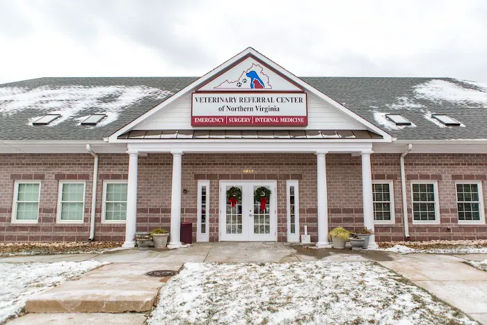MedVet Northern Virginia Picture 8