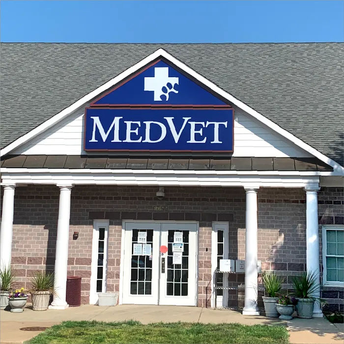 MedVet Northern Virginia Picture 10
