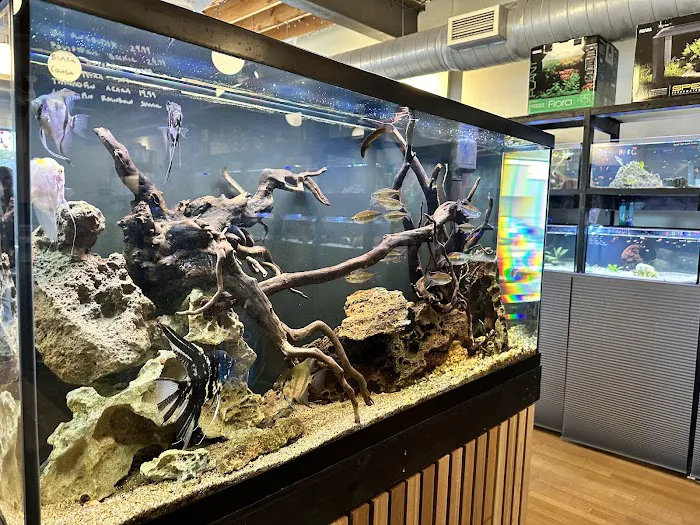 Rivershore Aquariums Picture 7