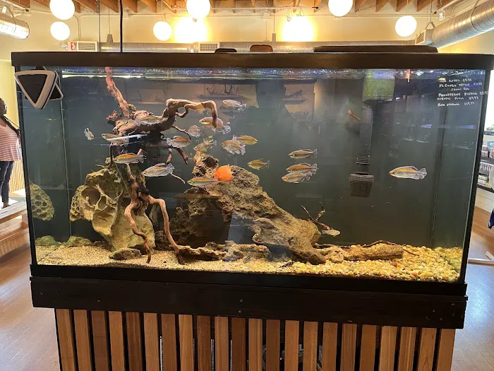 Rivershore Aquariums Picture 5