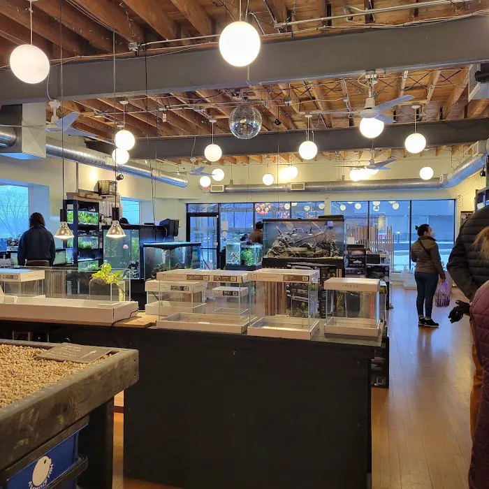 Rivershore Aquariums Picture 4