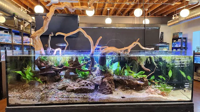 Rivershore Aquariums Picture 3