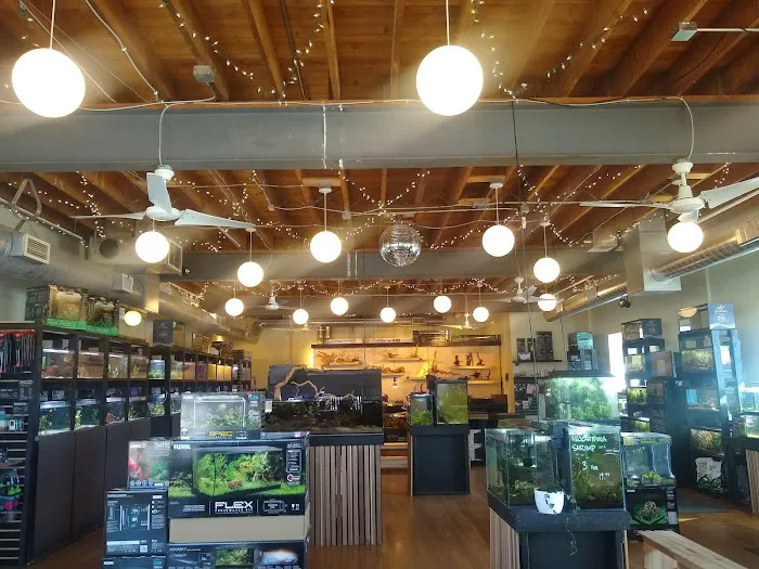 Rivershore Aquariums Picture 2