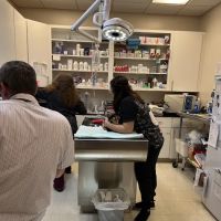 Old Towne Veterinary Clinic ico