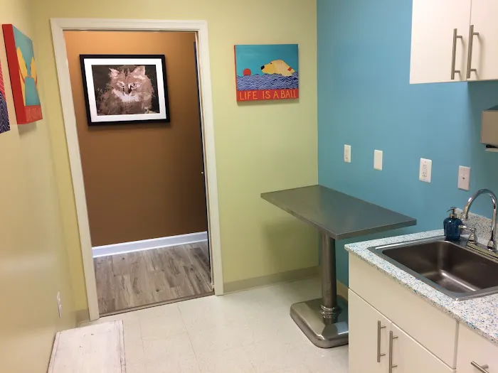 Old Towne Veterinary Clinic Picture 5