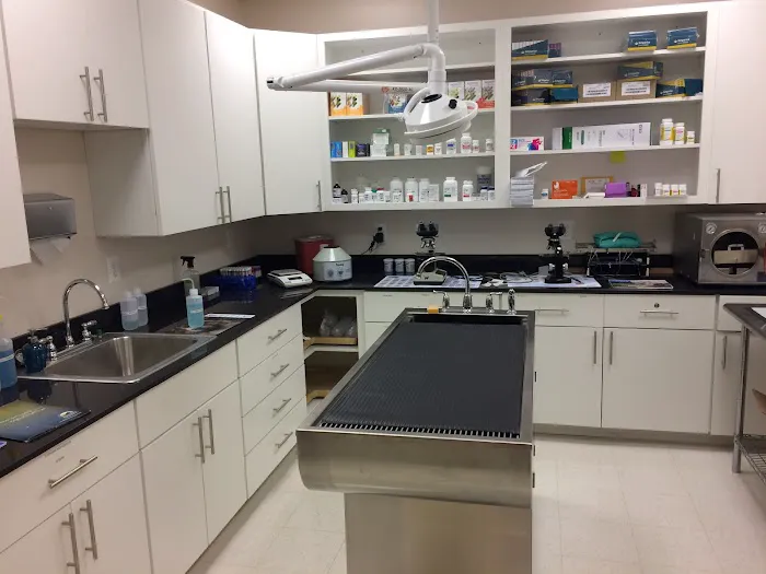 Old Towne Veterinary Clinic Picture 3