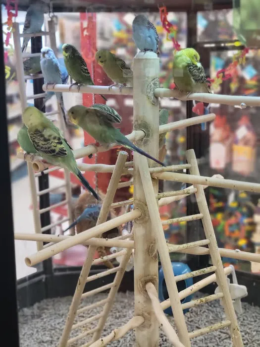 Petco Picture 4