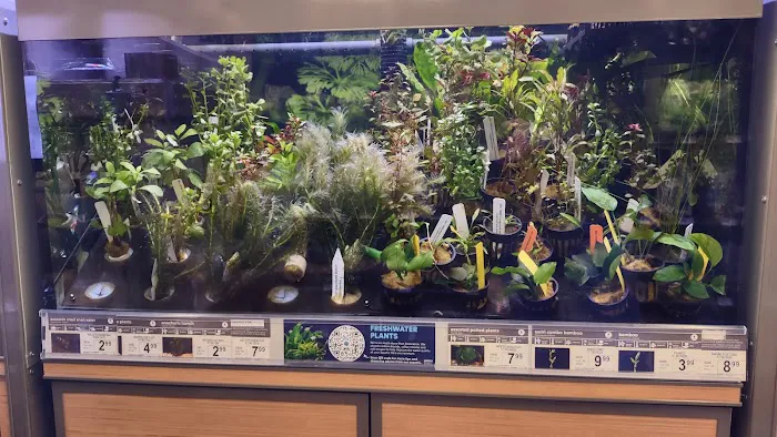 Petco Picture 8