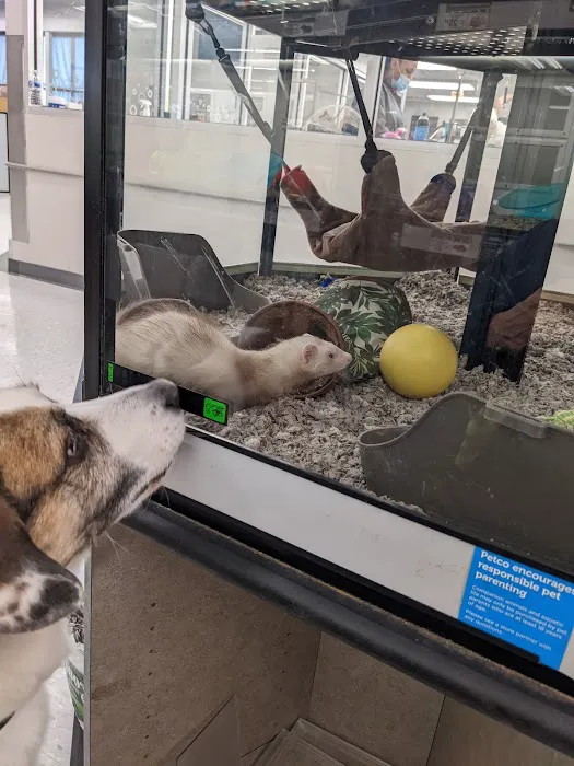 Petco Picture 10
