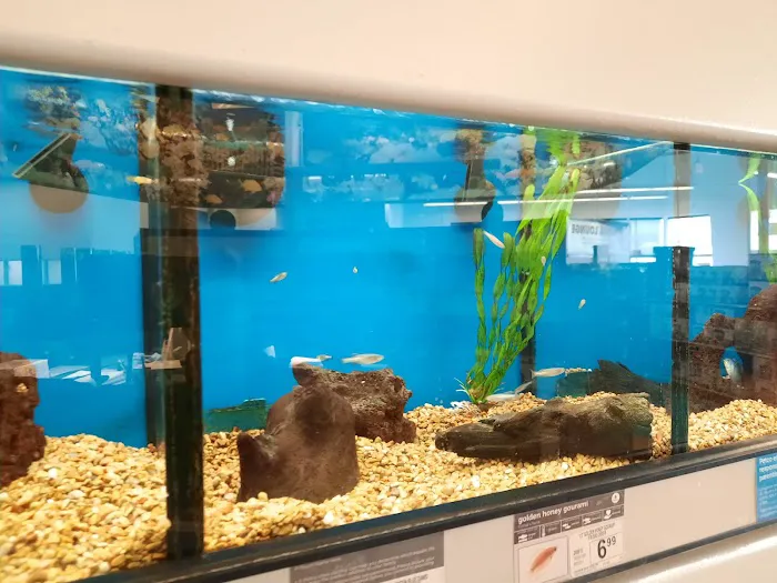 Petco Picture 5