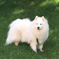 Morganna Animal Clinic & Boarding Kennel ico