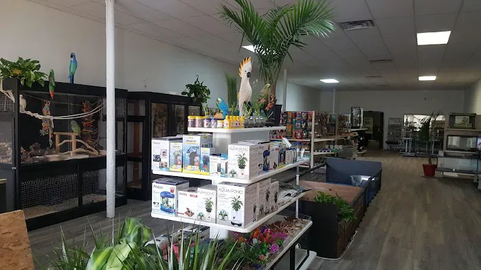 Egyptian Parrot Petshop Picture 3
