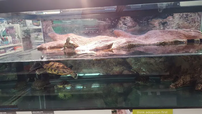 Petco Picture 7