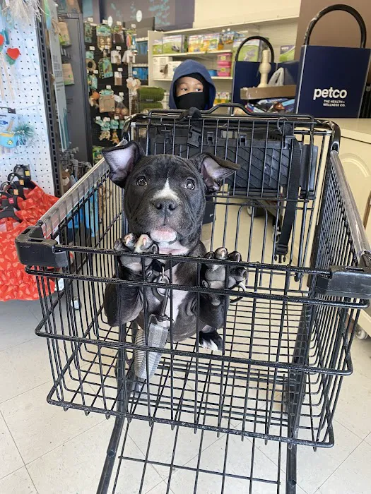 Petco Picture 9