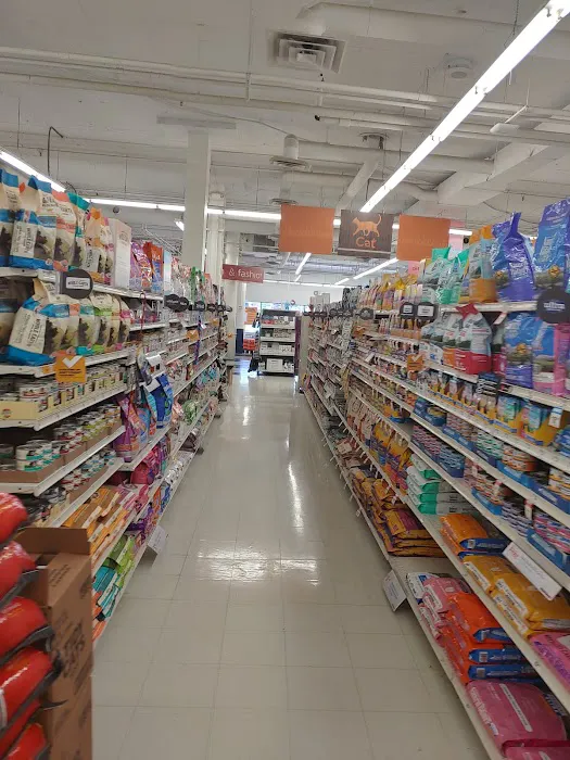 Petco Picture 2