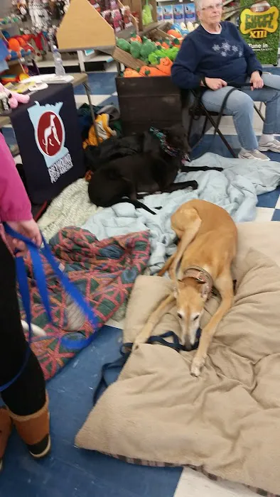 Petco Picture 5