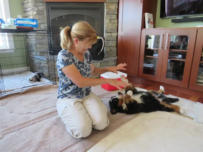 Redbud Veterinary Services Picture 8
