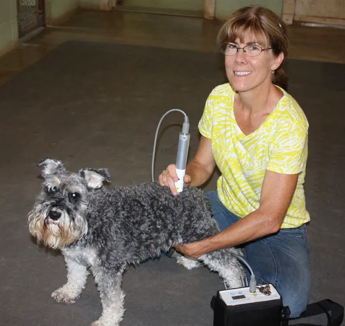 Redbud Veterinary Services Picture 6