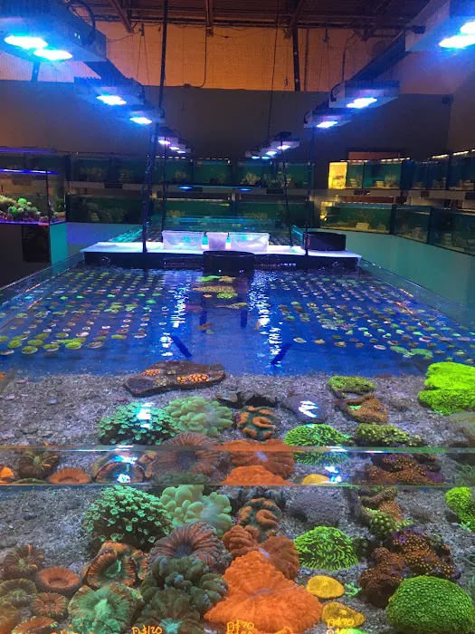 ReefCo Picture 5