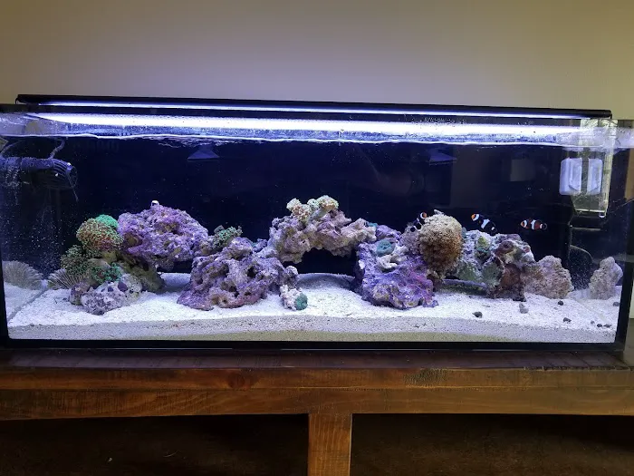ReefCo Picture 9