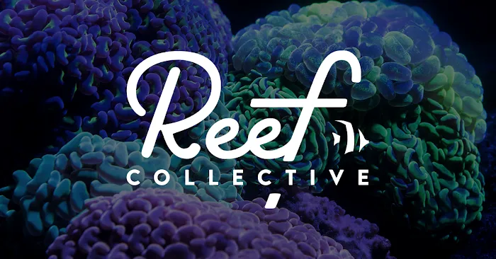 ReefCo Picture 10