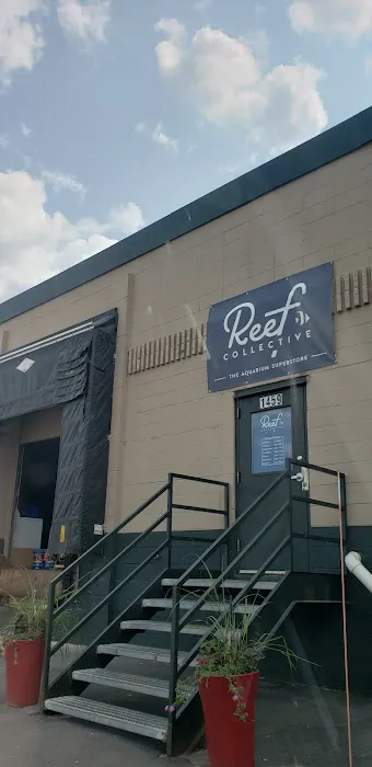 ReefCo Picture 7