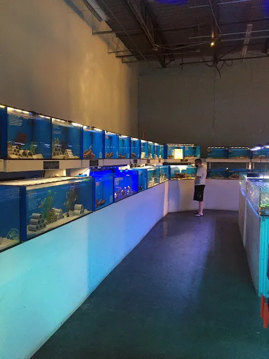 ReefCo Picture 1