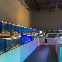 ReefCo ico