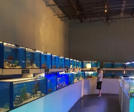 ReefCo