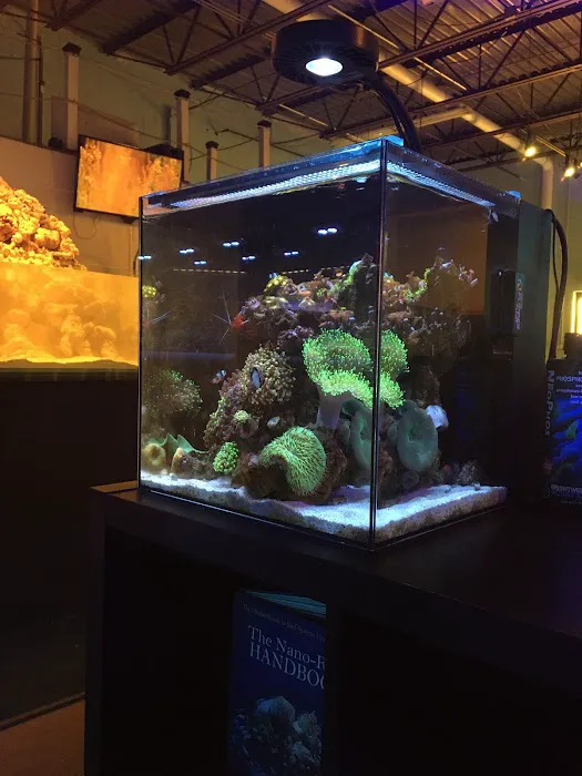 ReefCo Picture 2