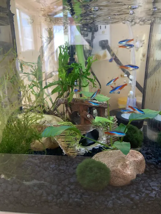 Sea Level Picture 1
