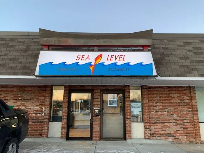 Sea Level Picture 2