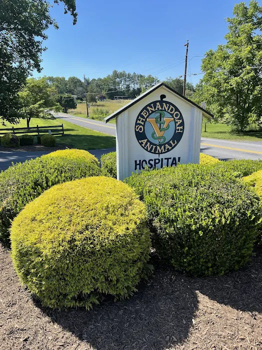 Shenandoah Animal Hospital Picture 6