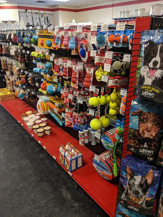 Chuck & Don's Pet Food & Supplies Picture 3