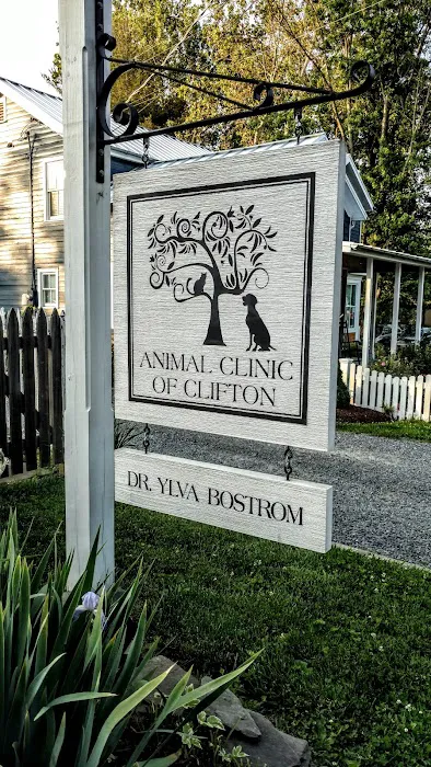 Animal Clinic of Clifton Picture 3