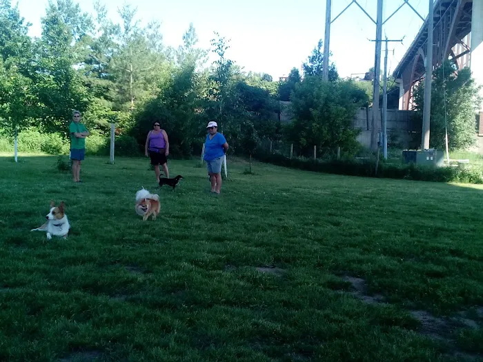 ESA Pet Today Picture 1