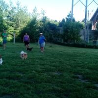 ESA Pet Today ico