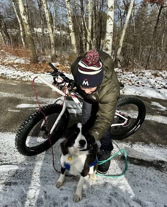 Jack and the Pack Picture 10
