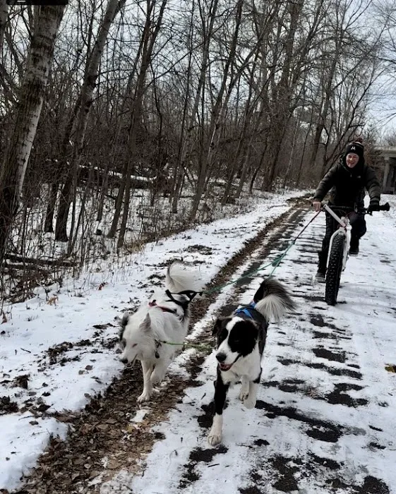 Jack and the Pack Picture 6
