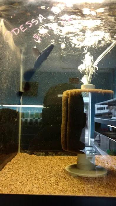 Tamed Waters Picture 5