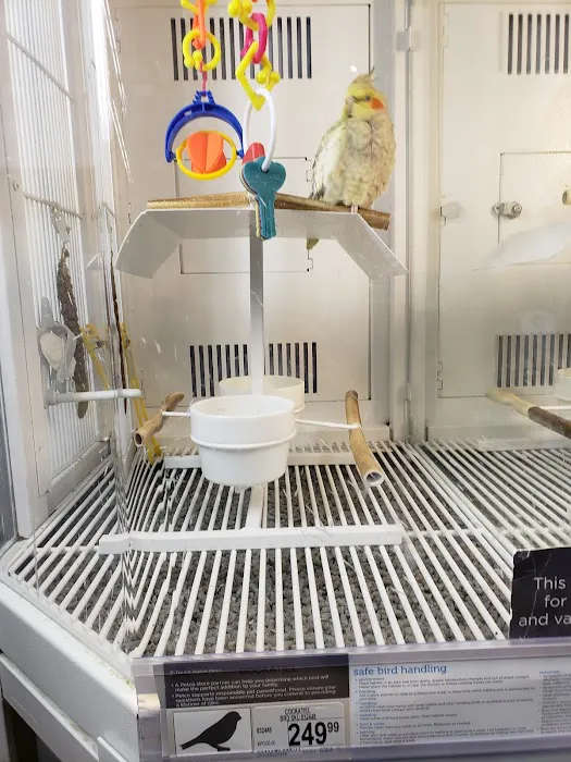 Vetco Vaccination Clinic Picture 5