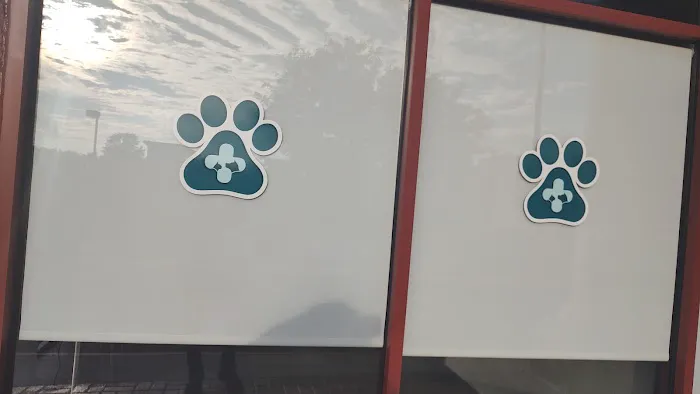 Pawsitive Care Animal Hospital Picture 1