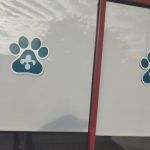 Pawsitive Care Animal Hospital