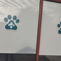 Pawsitive Care Animal Hospital ico