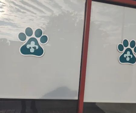 Pawsitive Care Animal Hospital