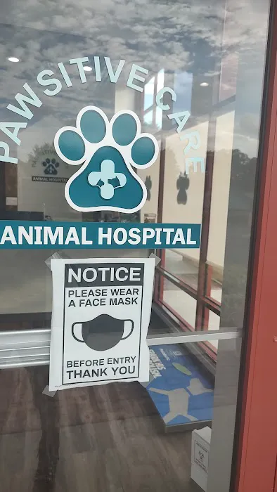 Pawsitive Care Animal Hospital Picture 6