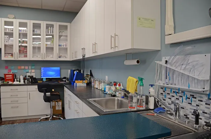Pawsitive Care Animal Hospital Picture 4
